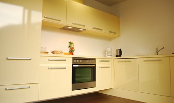 Stylish kitchen in the SUN holiday apartment in Matrei in Osttirol